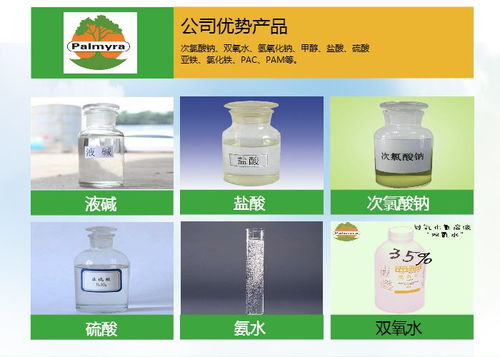 次氯酸鈉生產(chǎn)商南京棕糖樹化工 深耕安徽光伏產(chǎn)業(yè)，服務(wù)合肥能源轉(zhuǎn)型